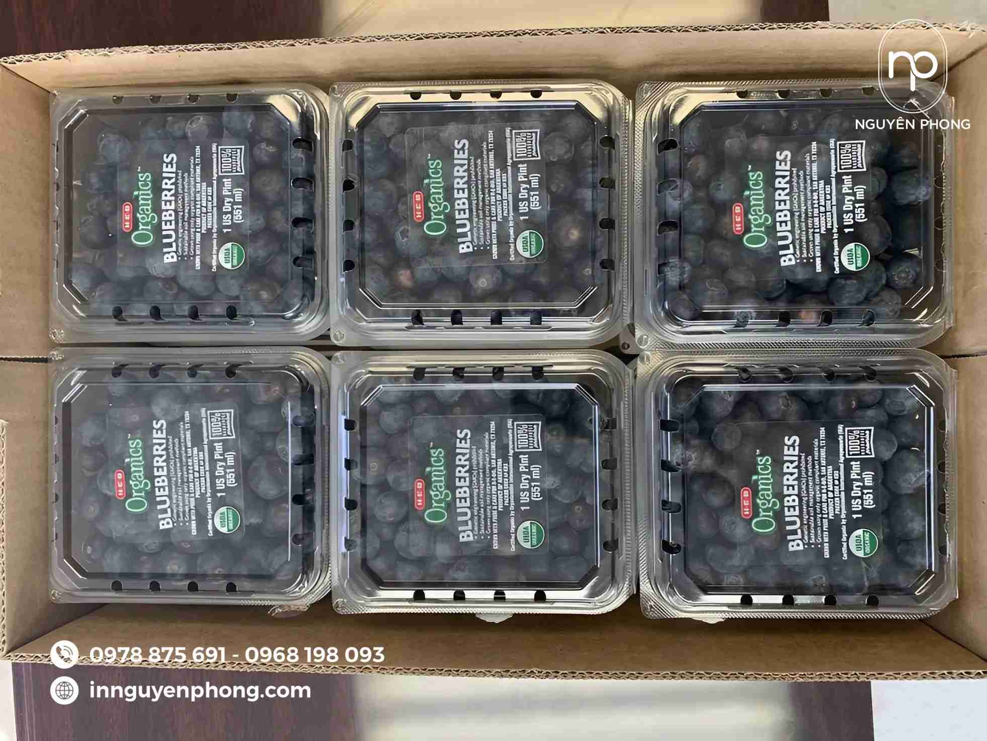 thùng carton đựng việt quất